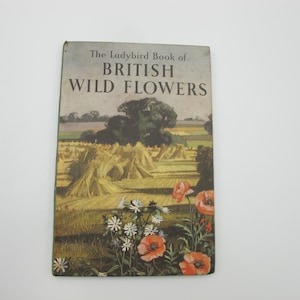 Vintage Ladybird Book of British Wild Flowers, illustrated by Roland and Edith Hilder, 1957. Series 536.