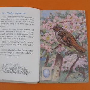 Vintage early Ladybird book A Second book of British Birds and their nests, Series 536. Ladybird nature book illustrated by Allen W Seaby