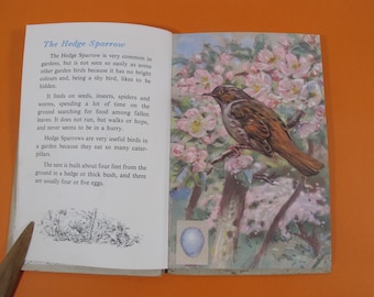 Vintage early Ladybird book A Second book of British Birds and their nests, Series 536. Ladybird nature book illustrated by Allen W Seaby