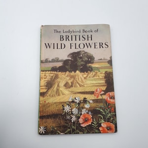 Vintage Ladybird Book of British Wild Flowers, illustrated by Roland and Edith Hilder. Series 536.