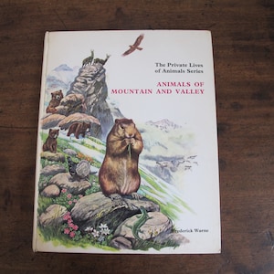 Vintage book - Animals of Mountain and Valley - translated from the Italian - published 1969. Beautiful children's nature book.