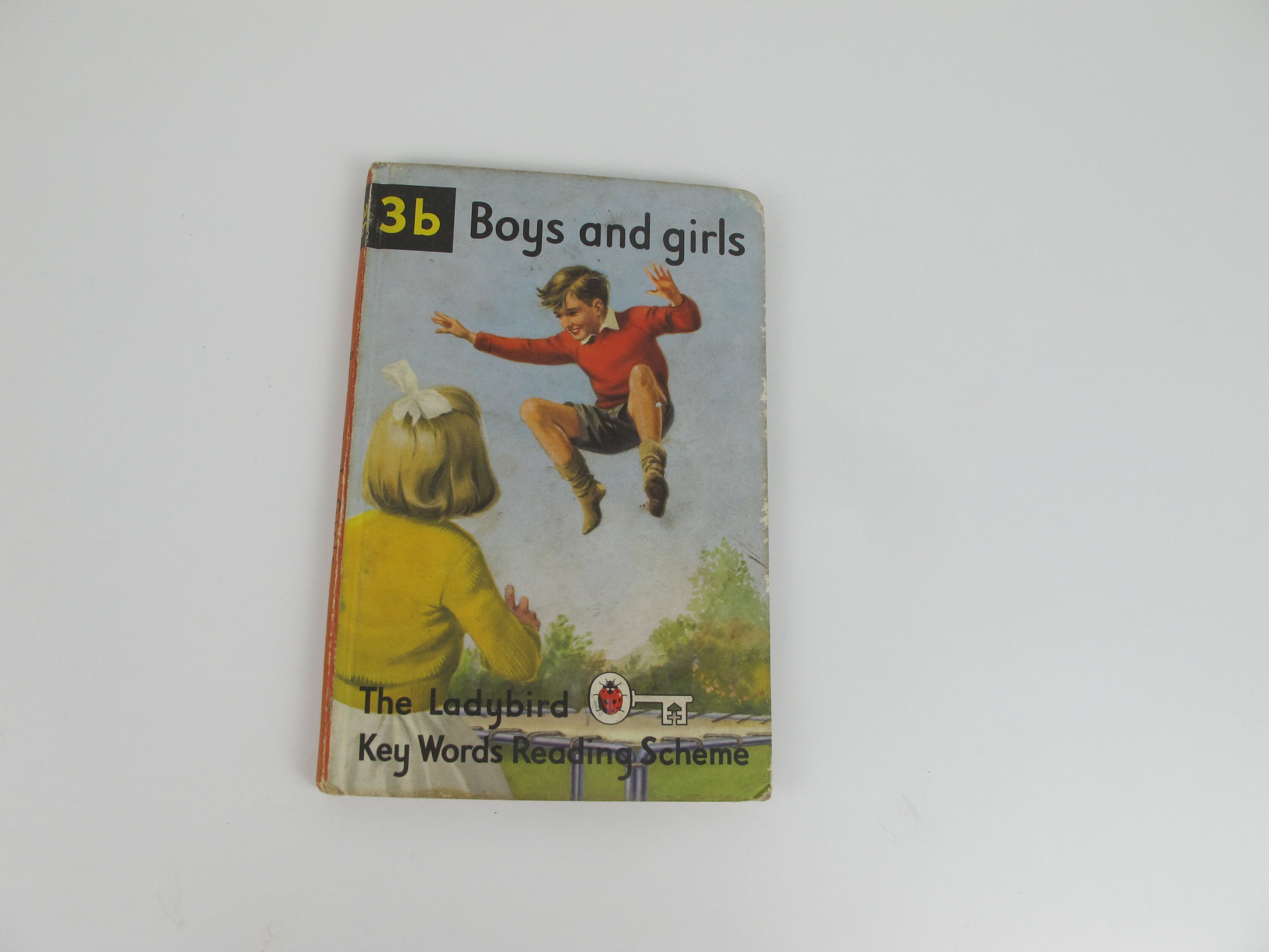 洋書  Family Ladybird Books 洋書 Family Ladybird Books Ladybird Book, Vintage Ladybird