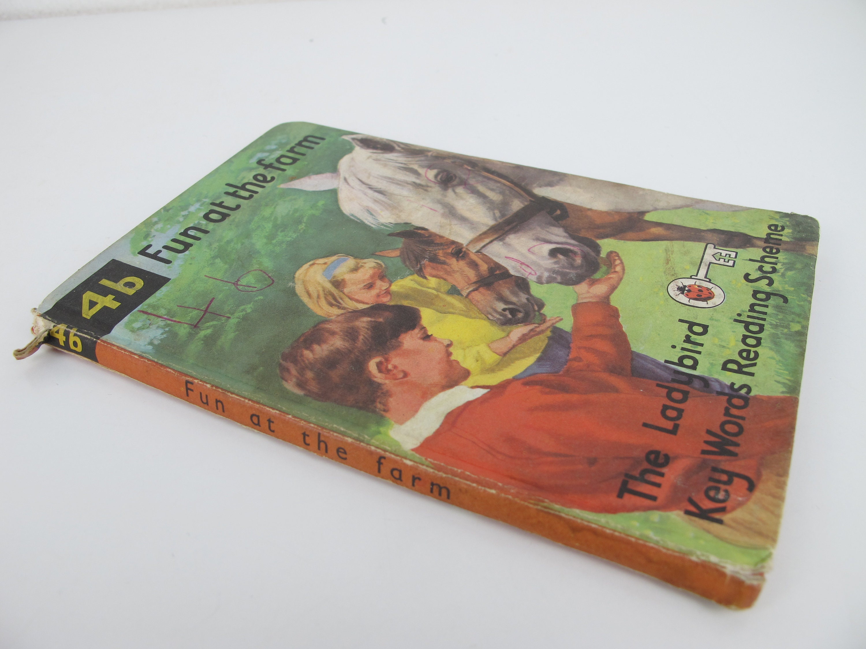 洋書  Family Ladybird Books il_1080xN.5038307493_dtlm.jpg