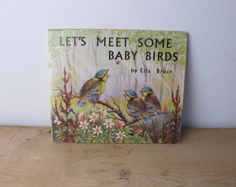 „Let's Meet Some Baby Birds“ von Ella Bruce, veröffentlicht 1969. Schöne Illustrationen.