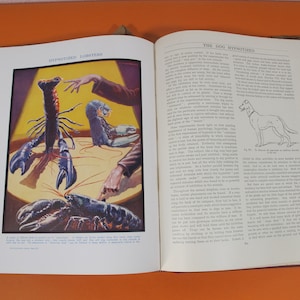 Vintage book The Science of Life by HG Wells, Julian Huxley and GP Wells. Voulume three 1929. Fabulous illustrations!