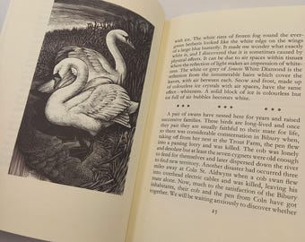 A Countrywoman's Notes by Rosemary Verey, 1991 edition, foreword by Prince Charles. Woodcuts by the auuthor