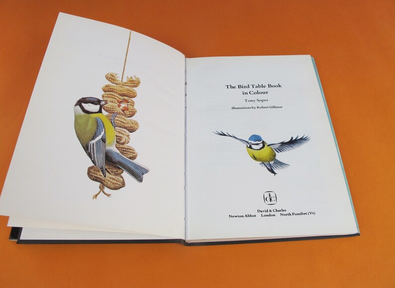 Vintage Book the Bird Table Book by Tony Soper Illustrated Etsy