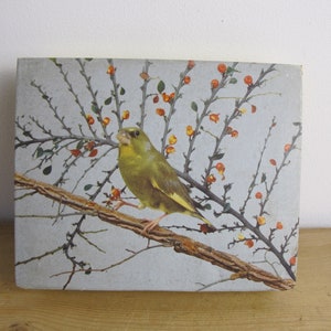 Vintage Konfektdose mit gelbem Vogel. Cadbury's Chocolates halbes Pfund Schachtel. Vintage Papp Aufbewahrungsbox ! 18x15cm