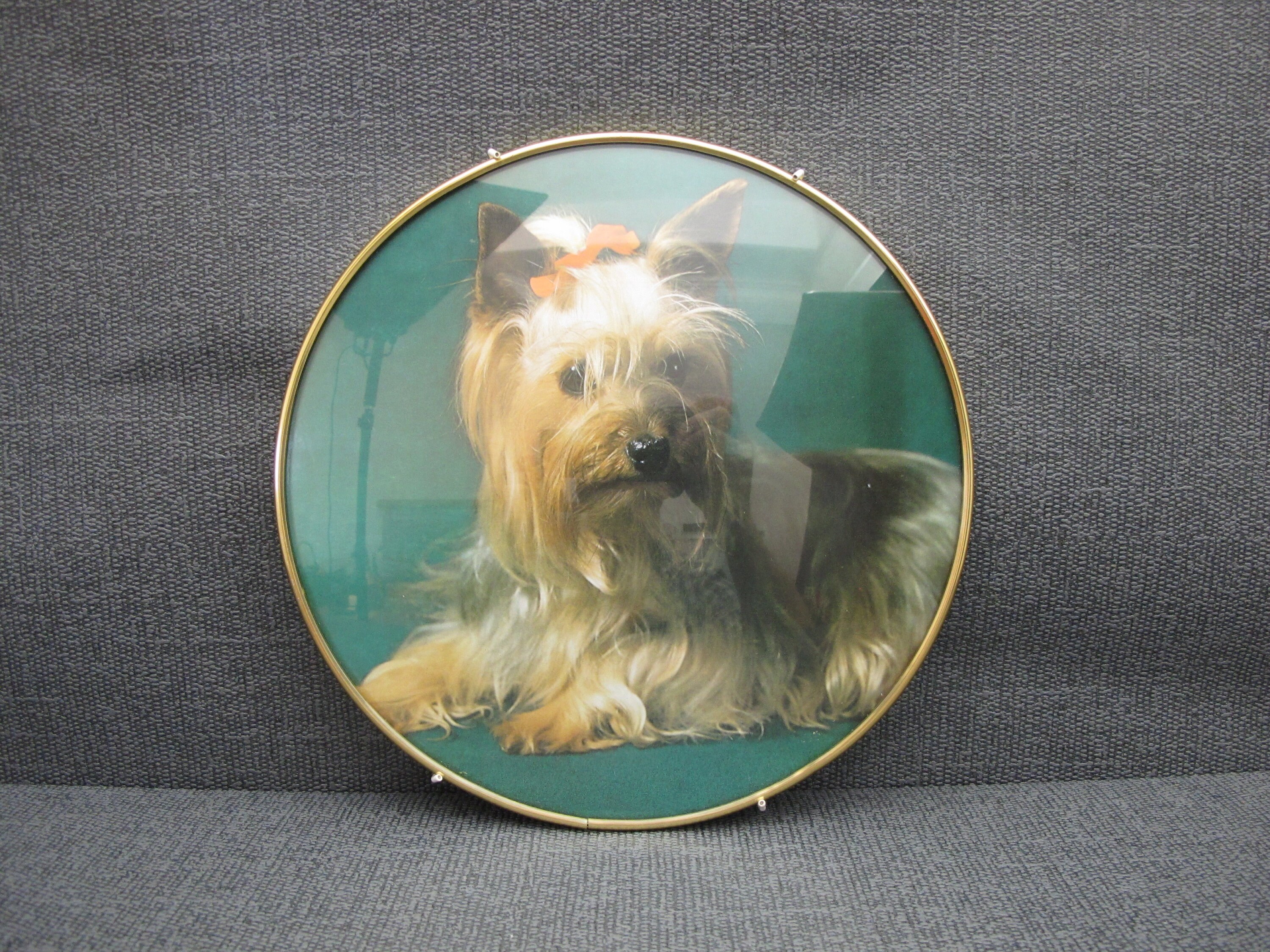 Vintage Retro Shabby Chic Mini Metal Plaque Border Terrier Vintage Retro Shabby Chic Mini Metal Plaque Border Terrier