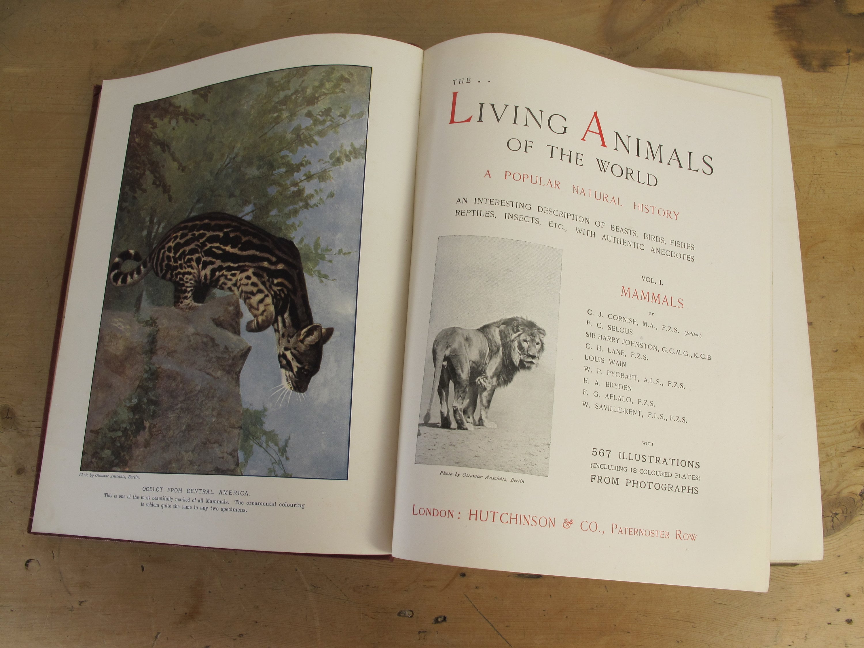 The Living Animals of the World - Volume 1 - Mammals