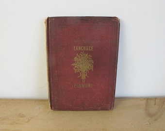 Antikes Buch – Die Sprache der Blumen – Ein Alphabet floraler Embleme – Erstausgabe, 1857. Wunderschön illustriert!