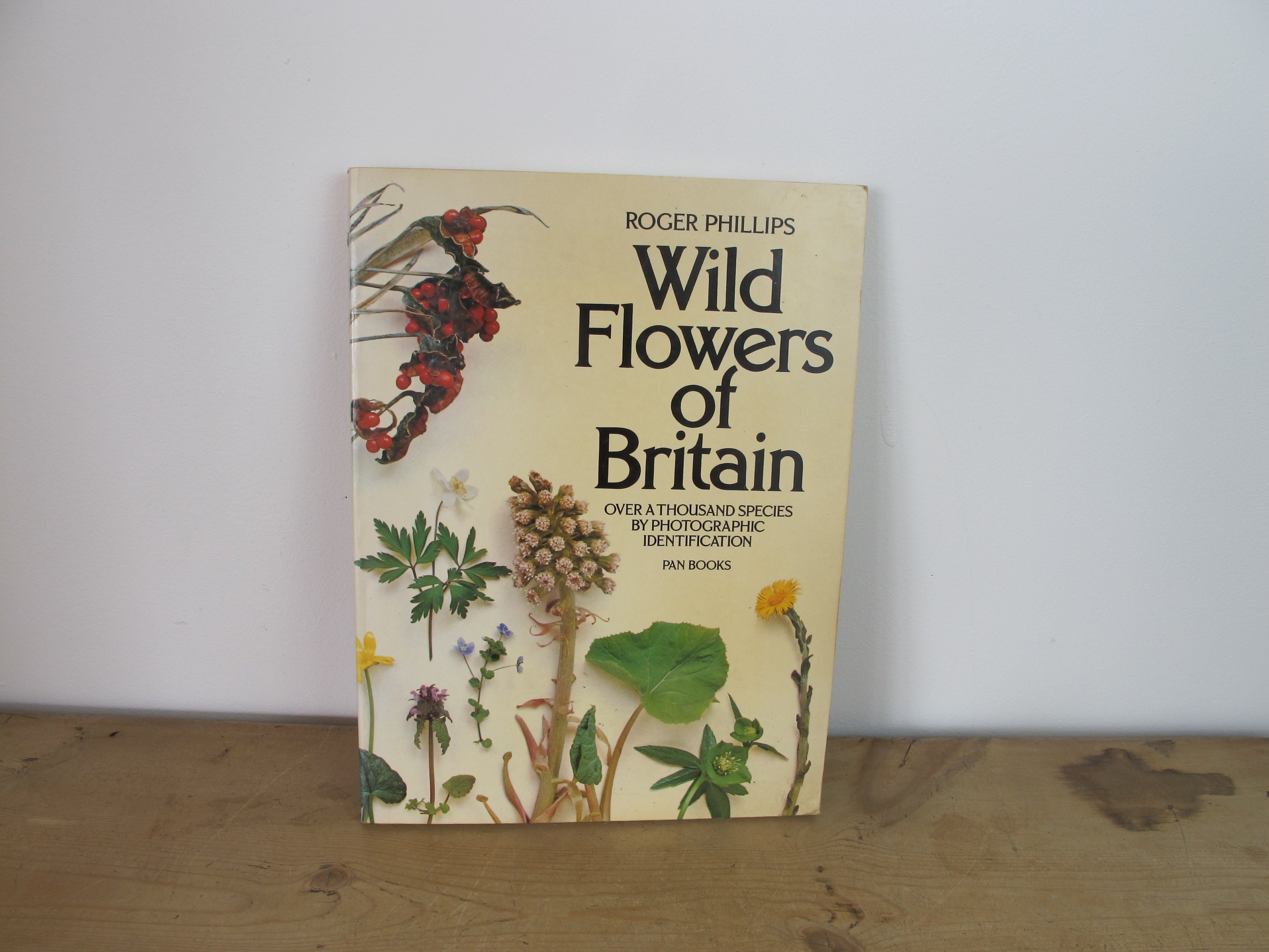 british wild flowers in relation to ‥ The Wild Flowers of Britain and Northern Europe: Fitter