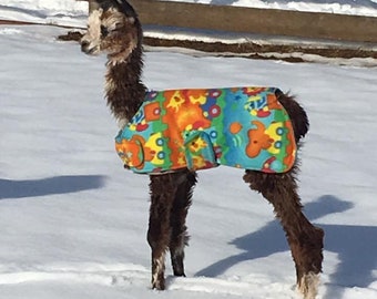 Puede incluir: Una llama marrón y blanca con un abrigo colorido y estampado se encuentra en la nieve. El abrigo tiene una variedad de formas y colores, incluyendo naranja, amarillo, azul y verde.