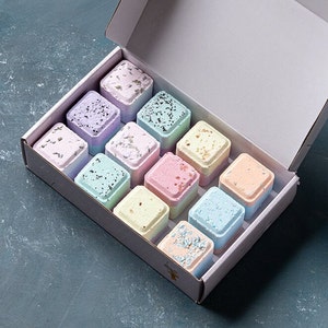 12-Piece Natural Shower Steamers Set, Spa Gift Box for Women, Relaxation Bath Gift, Mom Gift, by Lizush