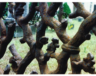 Fence surrounding old cemetery between Edisto Island and Charleston, South Carolina