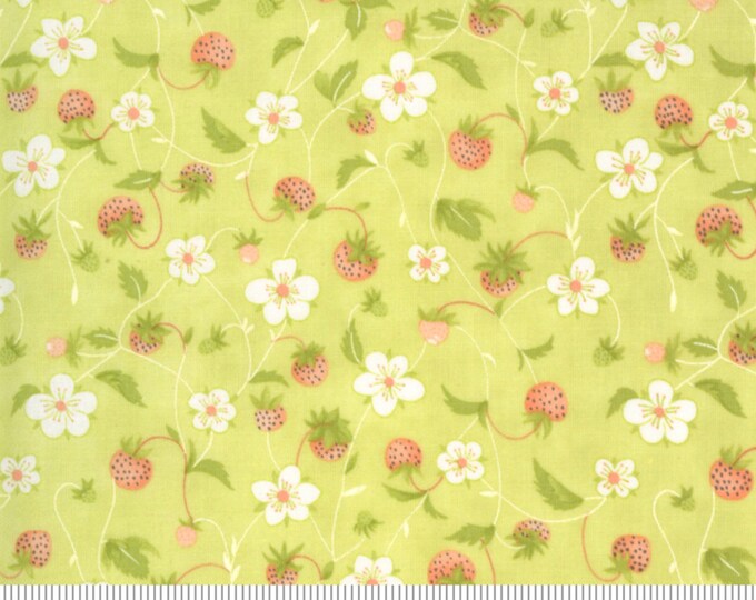 Strawberries and Rhubarb Yardage by Fig Tree & Co. for Moda Fabrics ...