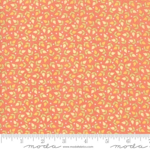 Sunnyside Up by Corey Yoder for Moda Fabrics. Coral 29055 15