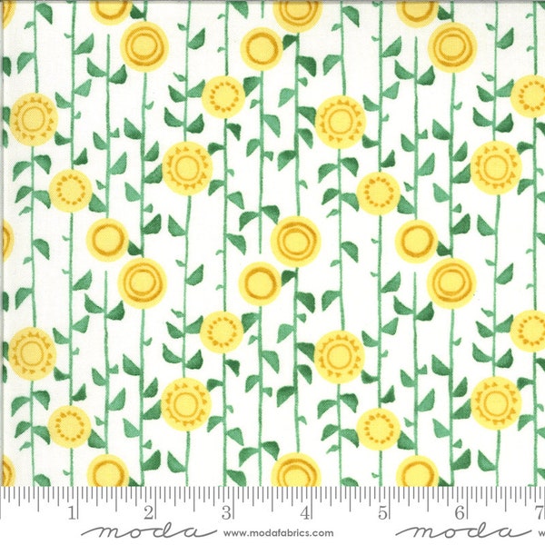 Solana Fabric by Robin Pickens for Moda Fabrics. Sunflowers Stalks Cream 48683 11