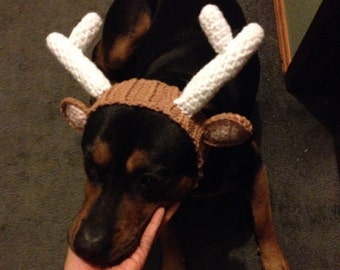 PATTERN: Reindeer hat for Dogs! (Crochet)