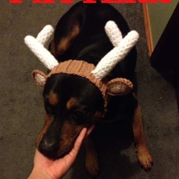 PATTERN: Reindeer hat for Dogs! (Crochet)