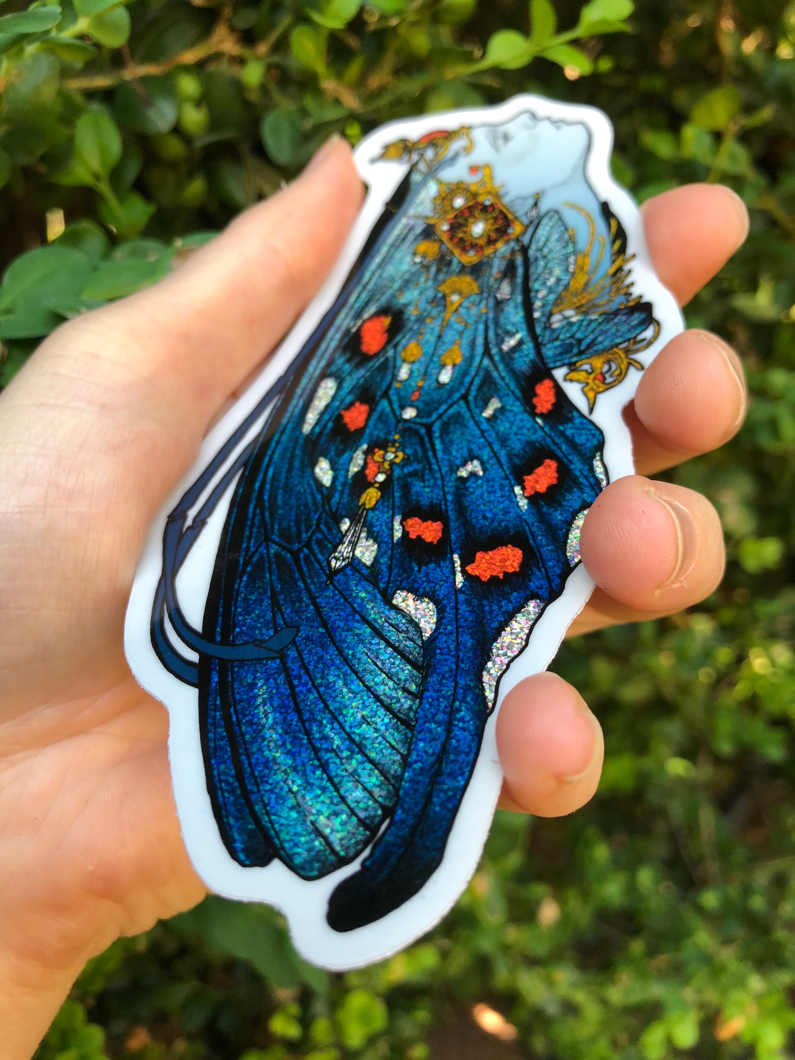 Spicebush Swallowtail Butterfly - Etsy