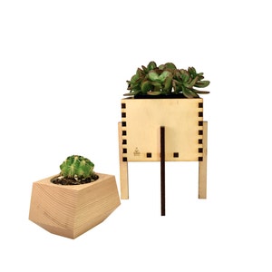 Hölzerne Blumentopf & Stand, minimalistische Pflanzerkasten und Pflanze stehen, saftiges Pflanzgefäß, handgefertigt in Portland, Oregon
