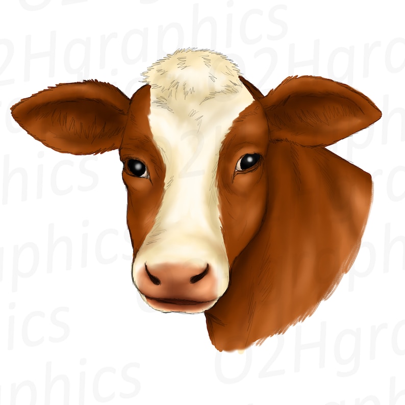 Brown Cow Clipart, Sublimation Design, Aquarelle Drawing, Farm Animal Clipart, Cow Lover, Cow Graphic, PNG, JPEG. SVG. Téléchargement numérique image 1