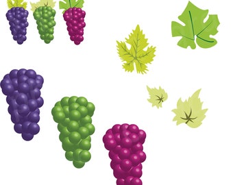 Grapes and Leaves Clipart Set, Fruit Clipart, Vector Clipart, Berry clipart, Scrapbooking, PNG, Jpeg, SVG, Digital Download, Commercial Use