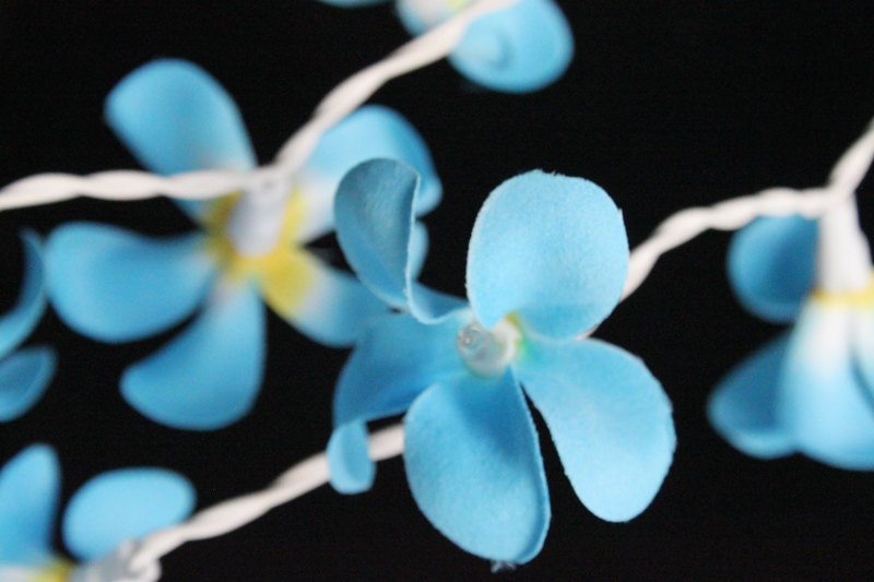 20 Bombillas azul flor Plumeria cadena de luces para | Etsy