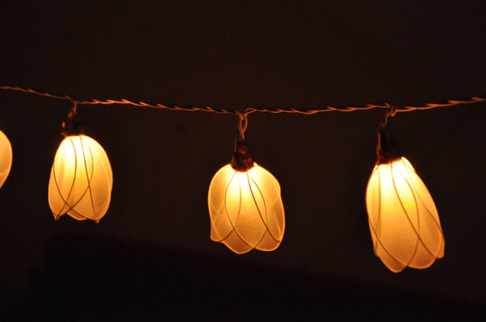35 Bulbs White Flower Flower String Lights for Home Etsy