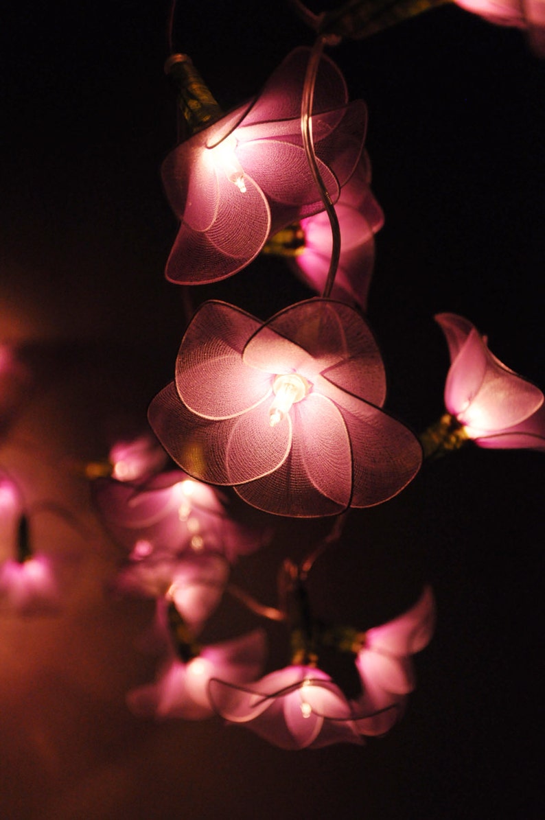 20 violeta LED luces de cadena de flor para decoración del | Etsy