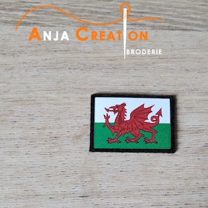 Può includere: Una toppa bianca e nera con un drago rosso su sfondo verde. La toppa ha il testo "ANJA CREATION BRODERIE".