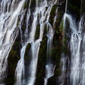 Landscape Photo - Burney Falls State Park Waterfall