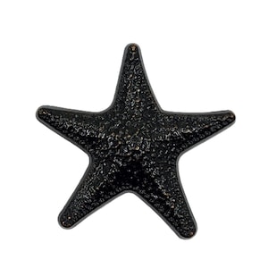 May include: Black starfish ornament with a textured surface.