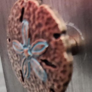 May include: A bronze-colored cabinet knob with a sand dollar design. The sand dollar has a textured surface and a blue floral pattern in the center. The knob is round and has a stem for attaching to a cabinet or drawer.