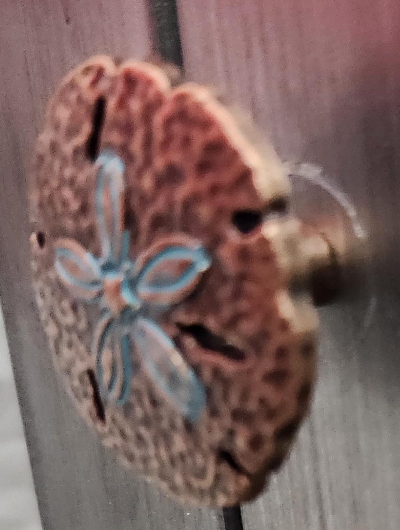 May include: A bronze-colored cabinet knob with a sand dollar design. The sand dollar has a textured surface and a blue floral pattern in the center. The knob is round and has a stem for attaching to a cabinet or drawer.