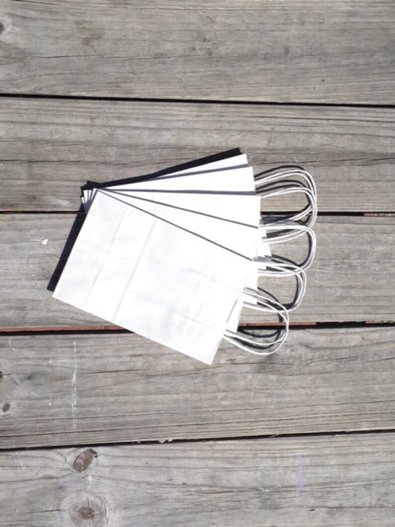 50 Pack White Kraft Paper Bag With Twisted Handle 5.25x 3.25 x 8.375