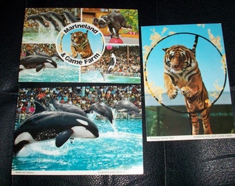 80s Marineland & Game Farm Niagara Falls Canada souvenir postcard lot of 3 tiger and killer whale