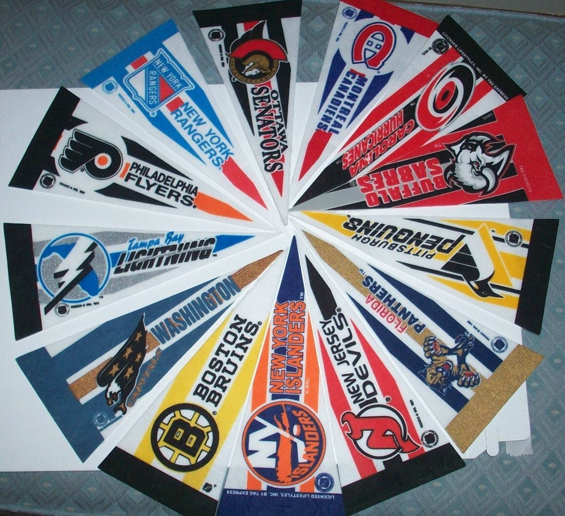 Vintage NHL Hockey MINI Pennant Flag Banner 5x10.25 Inches 
