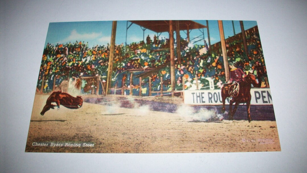 40s rodeo postal Chester Byers roping steer - Etsy España