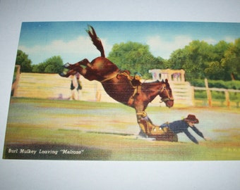 40s rodeo postcard Burt Mulkey leaving Melrose