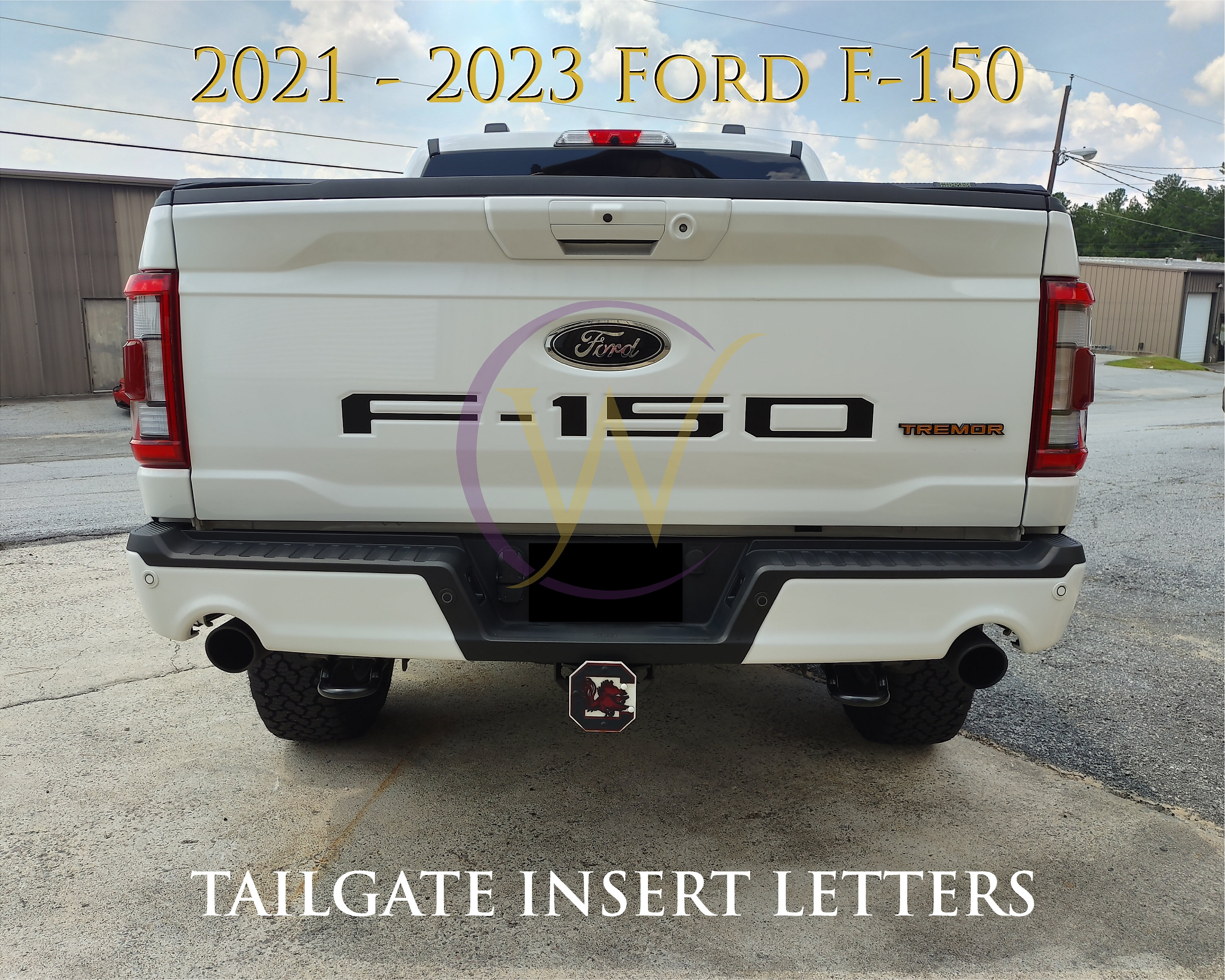 3D Raised Black ABS Tailgate Inserts Letters Emblem for F-150 Badges  2021-2022 – Auto Heaven USA
