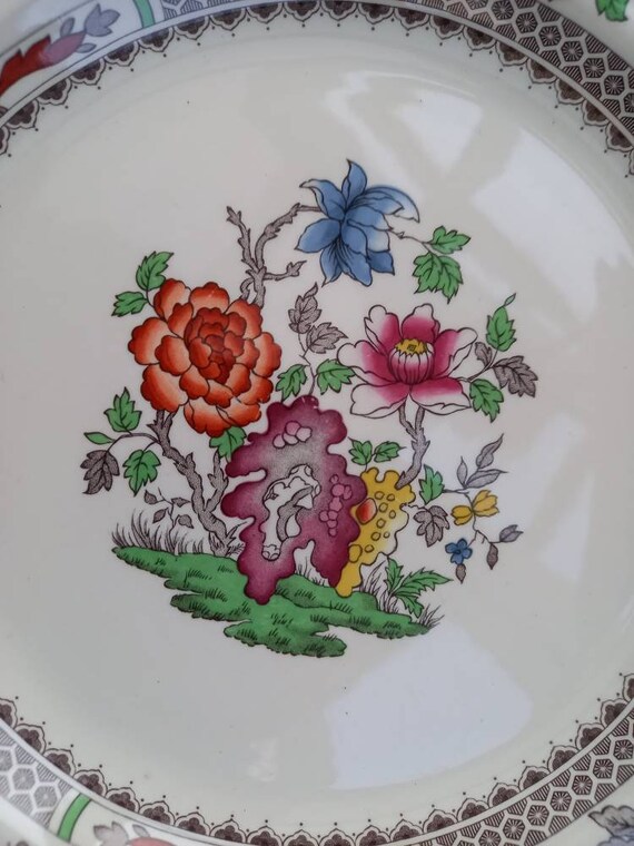 Vintage Spode Chinese Rose Lunch Plate - Etsy