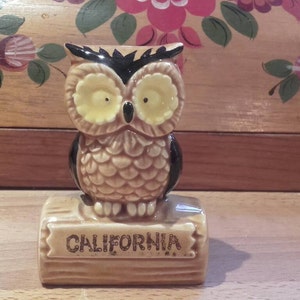 Vintage 1970 Keramik California Souvenir Eule Salzstreuer