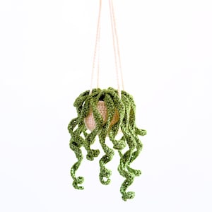 May include: A crocheted hanging planter with a light pink pot and green curly vines. The planter is hanging from a white string.