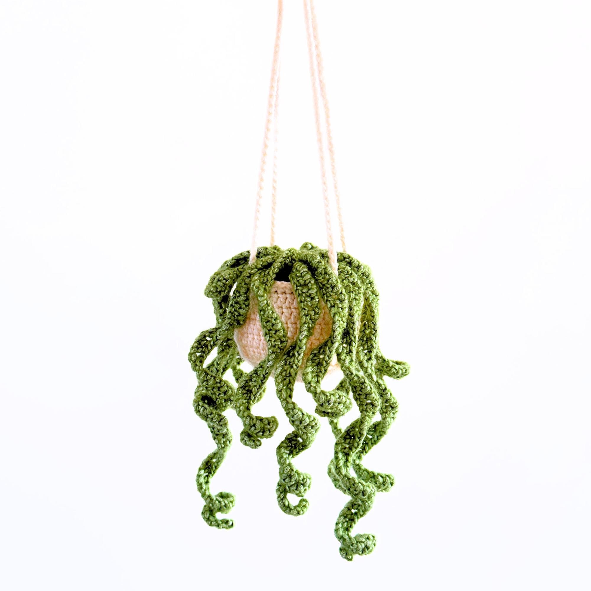 Crochet Hanging Plant Pattern: Vine Car Decor
