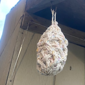 Wasp nest detourant!