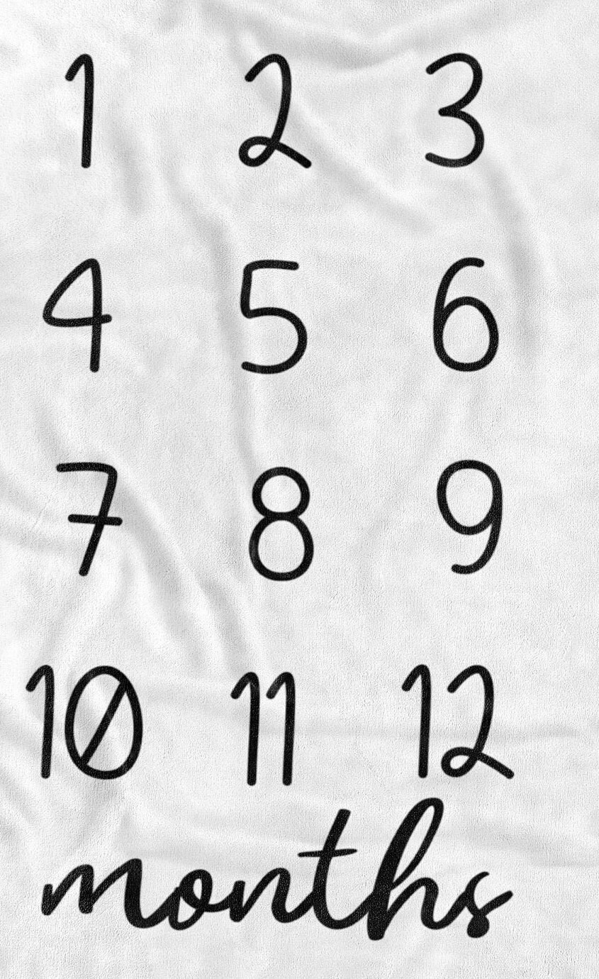 Milestone Blanket / Baby Girl / Baby Month Blanket / Baby Etsy