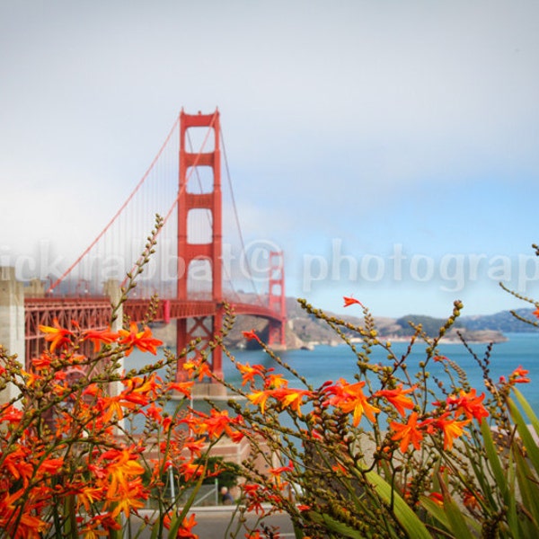 LAST COPY Golden Gate Bridge in Full Bloom Digital Download Photo Fine Art Photography San Francisco Bay California Classic Bridge Fog