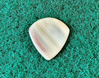 Seashell guitar pick/1.4mm thick. Jazz profile... by BeachSidePicks.